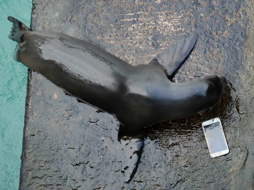 Süd- & Nordamerika 07-2017