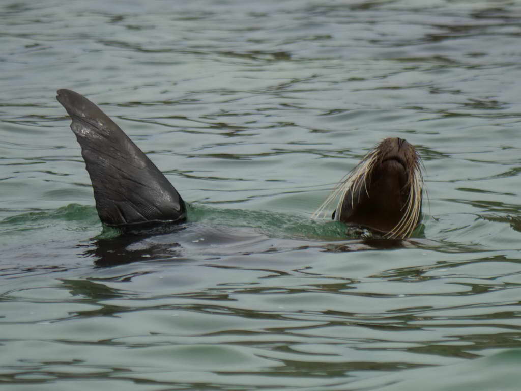 Süd- & Nordamerika 07-2017