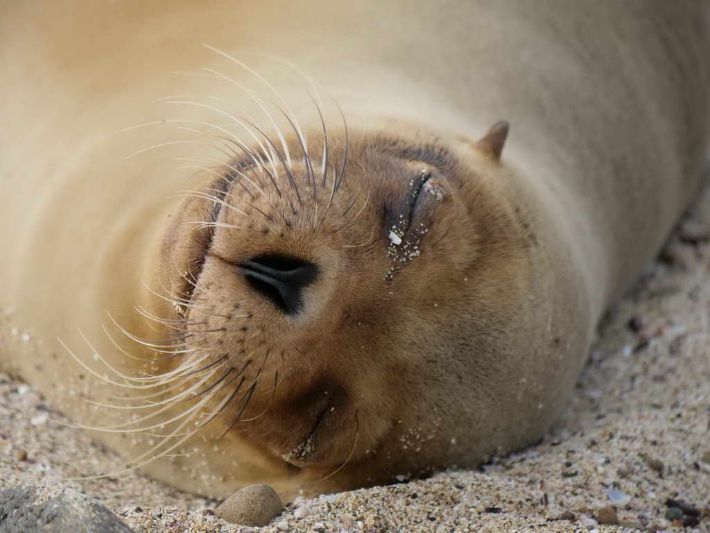 Süd- & Nordamerika 07-2017