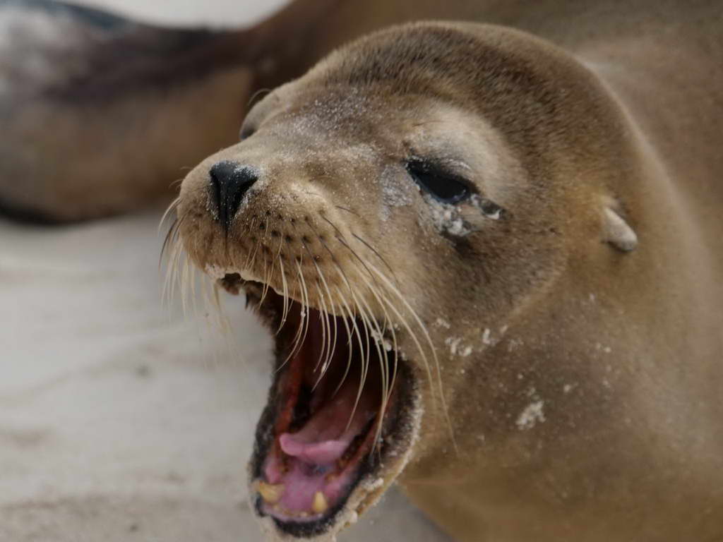 Süd- & Nordamerika 07-2017