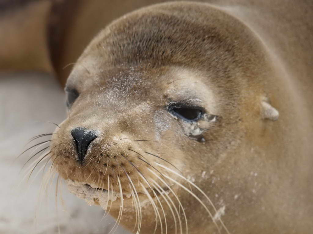 Süd- & Nordamerika 07-2017