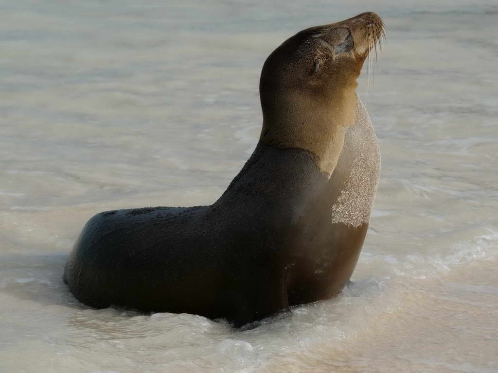 Süd- & Nordamerika 07-2017