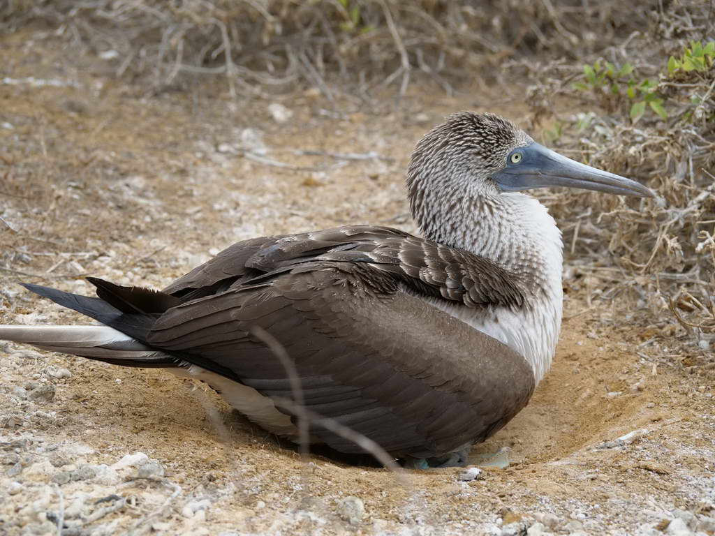 Süd- & Nordamerika 07-2017