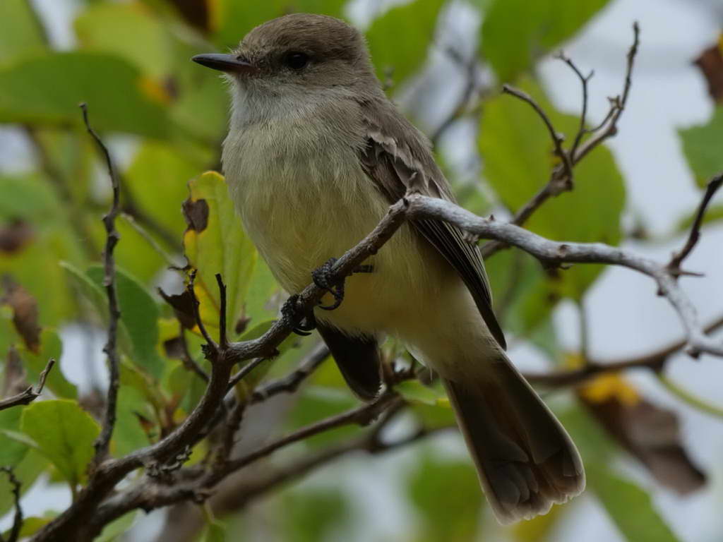 Süd- & Nordamerika 07-2017