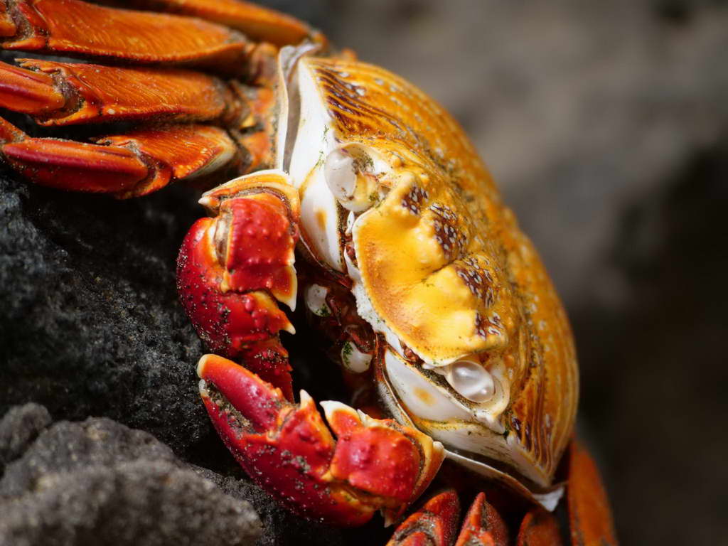 Süd- & Nordamerika 07-2017