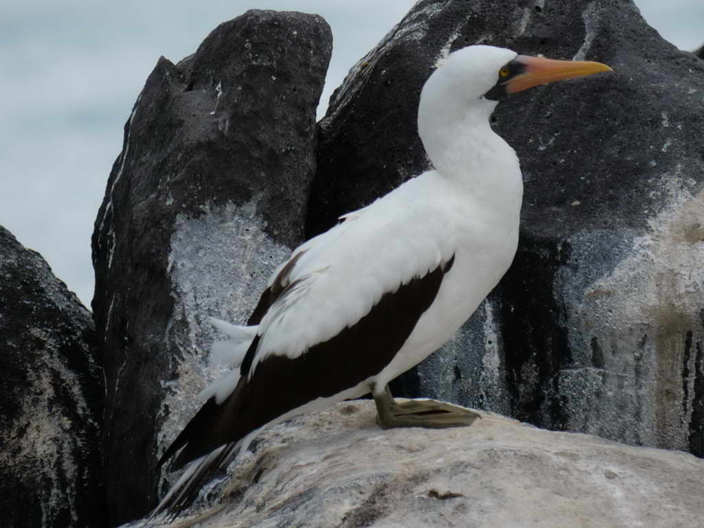 Süd- & Nordamerika 07-2017