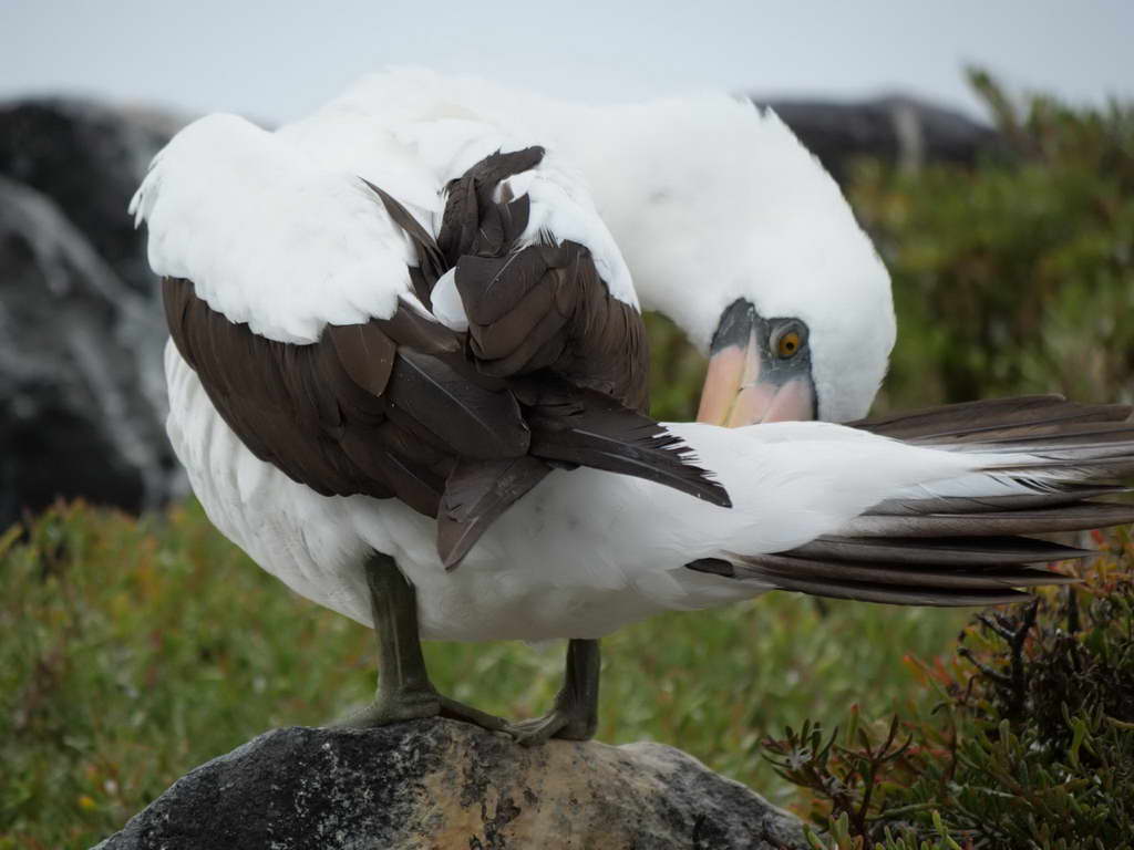 Süd- & Nordamerika 07-2017