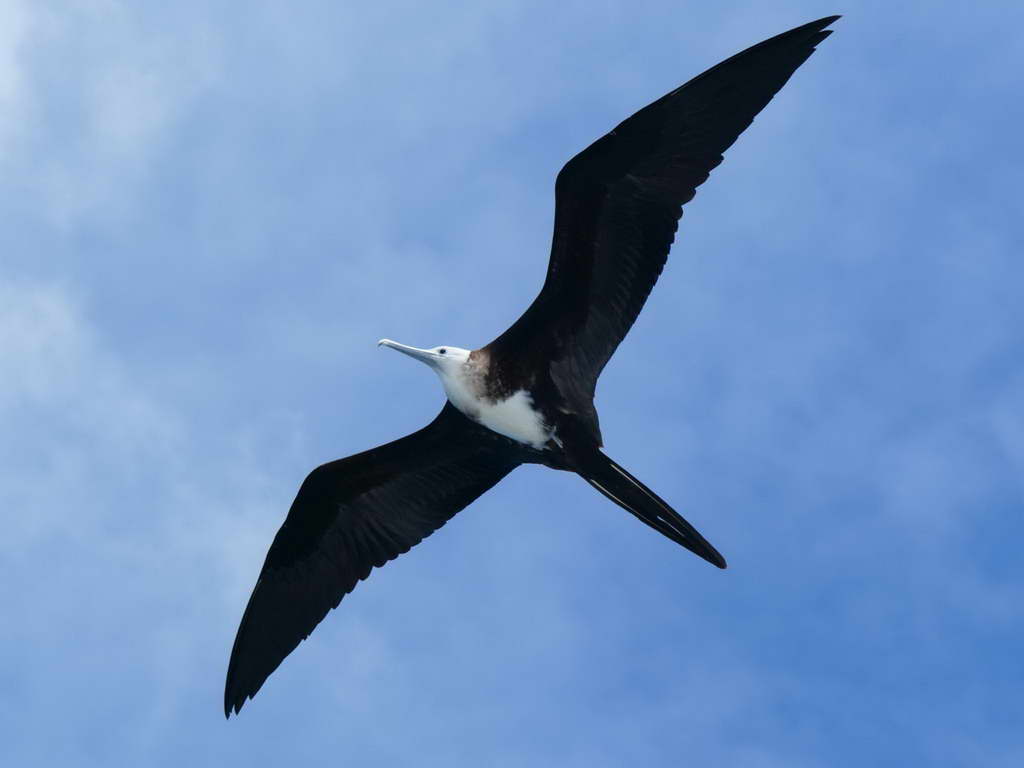 Süd- & Nordamerika 07-2017