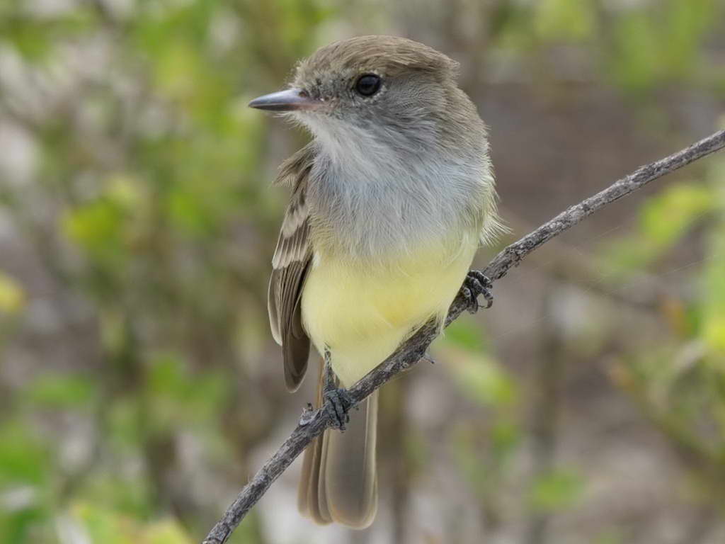 Süd- & Nordamerika 07-2017