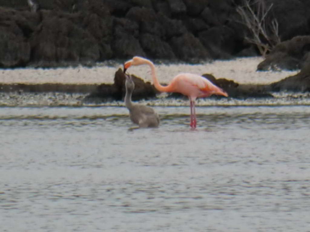 Süd- & Nordamerika 07-2017