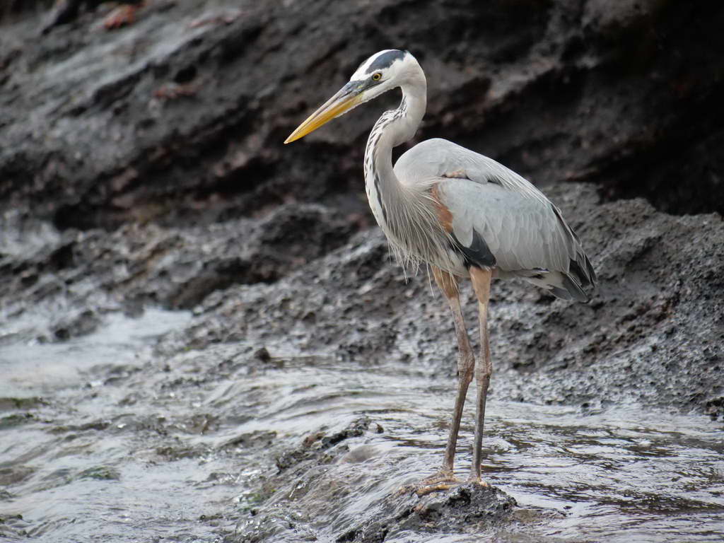 Süd- & Nordamerika 07-2017