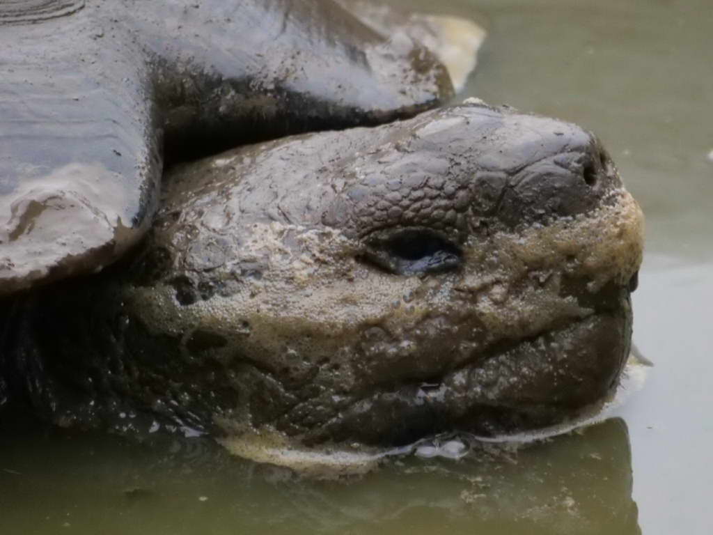 Süd- & Nordamerika 07-2017