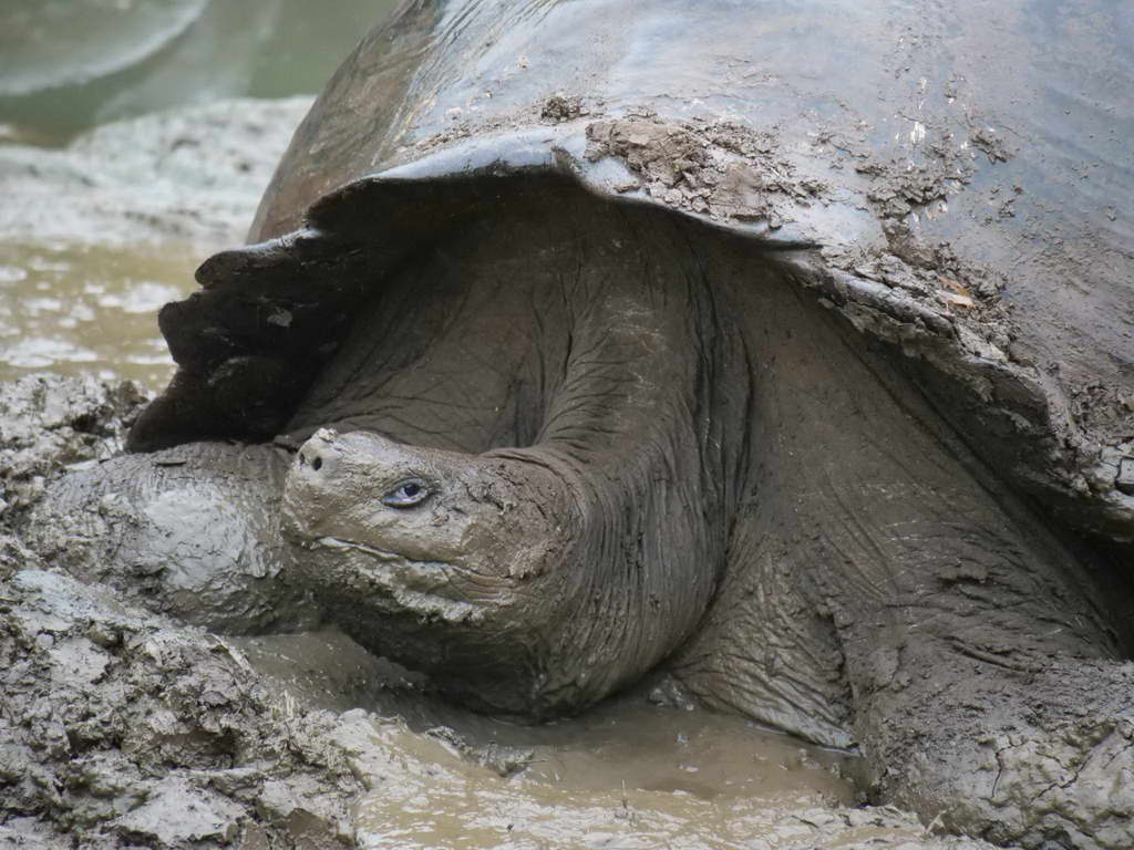 Süd- & Nordamerika 07-2017