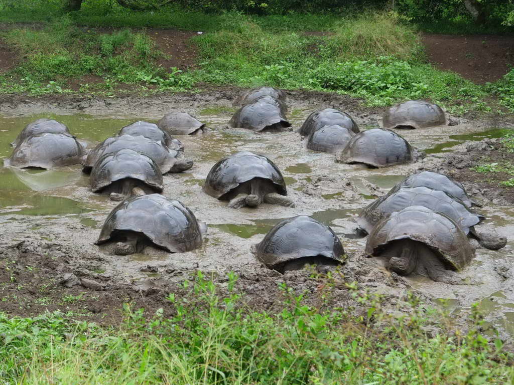 Süd- & Nordamerika 07-2017