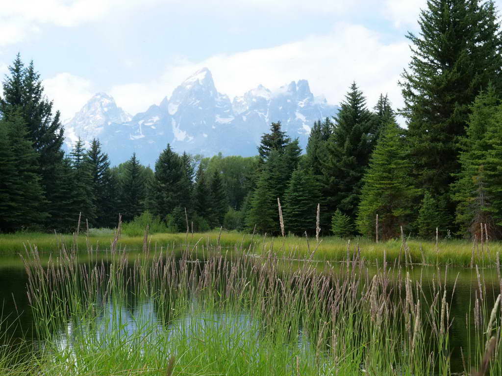 Süd- & Nordamerika 07-2017