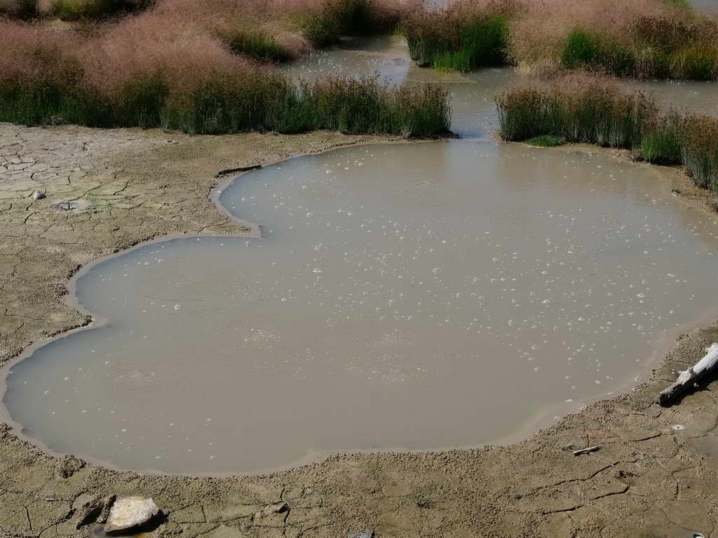 Süd- & Nordamerika 07-2017