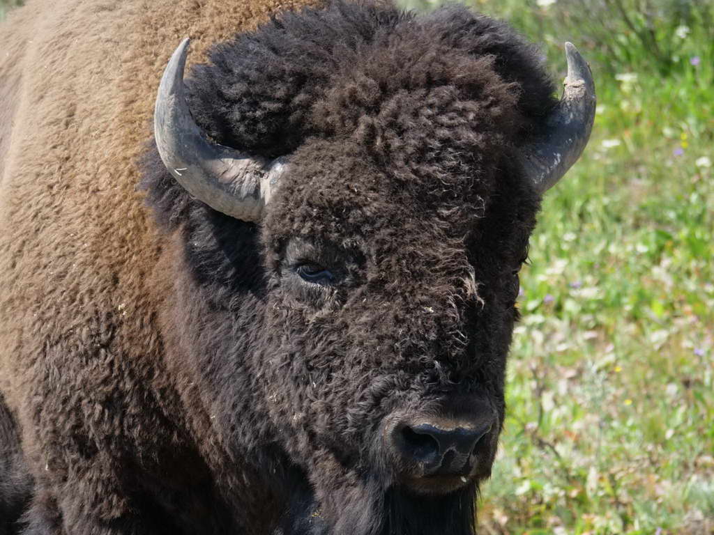 Süd- & Nordamerika 07-2017