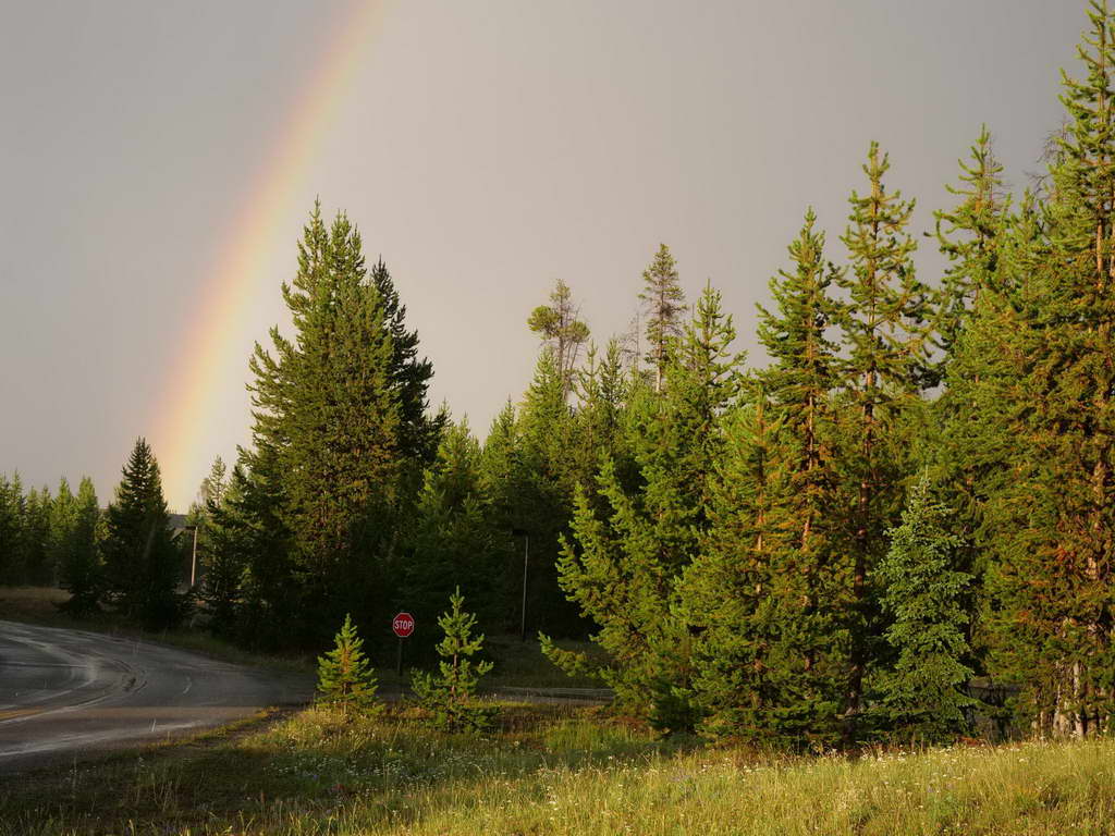 Süd- & Nordamerika 07-2017