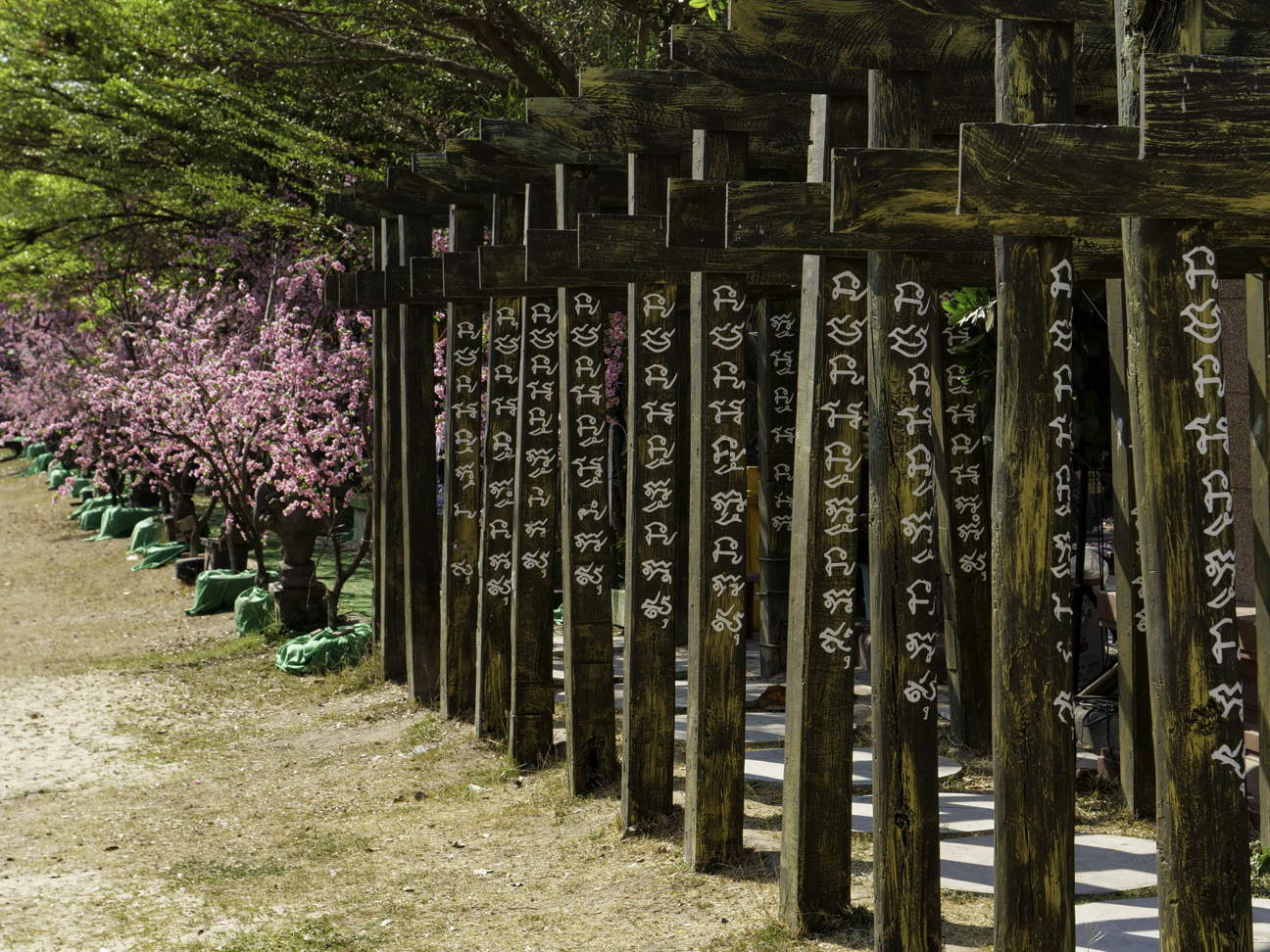 Thailand, Ban Si Mongkhon