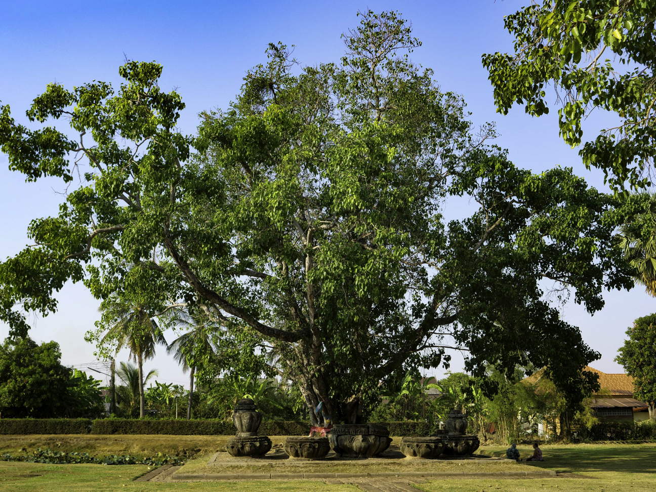 Thailand, Ban Cha Kae Kon